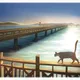 齁浪秘境明信片系列（一套 8 張） 9