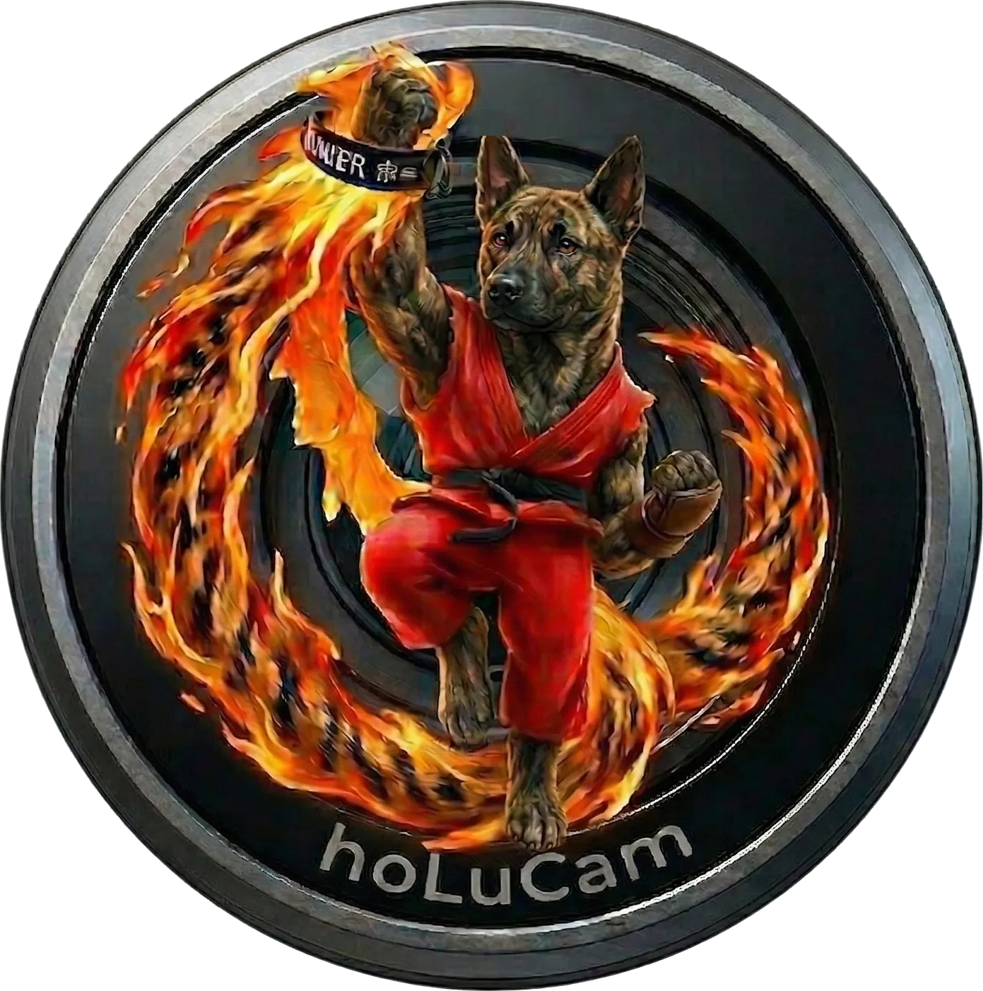 hoLuCam