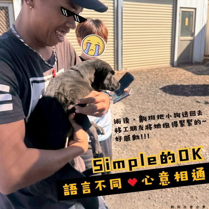 【Simple 的 OK｜語言不同，心意相通 ❤️ 】
​
齁斑某天正在執行探索工作，
一個轉彎就看...