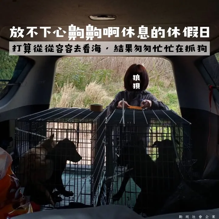 【放不下心齁齁啊休息的休假日】
補犬馬拉松後的難得休假日。
一早照顧完腫瘤阿呆後,
吃著早餐...
