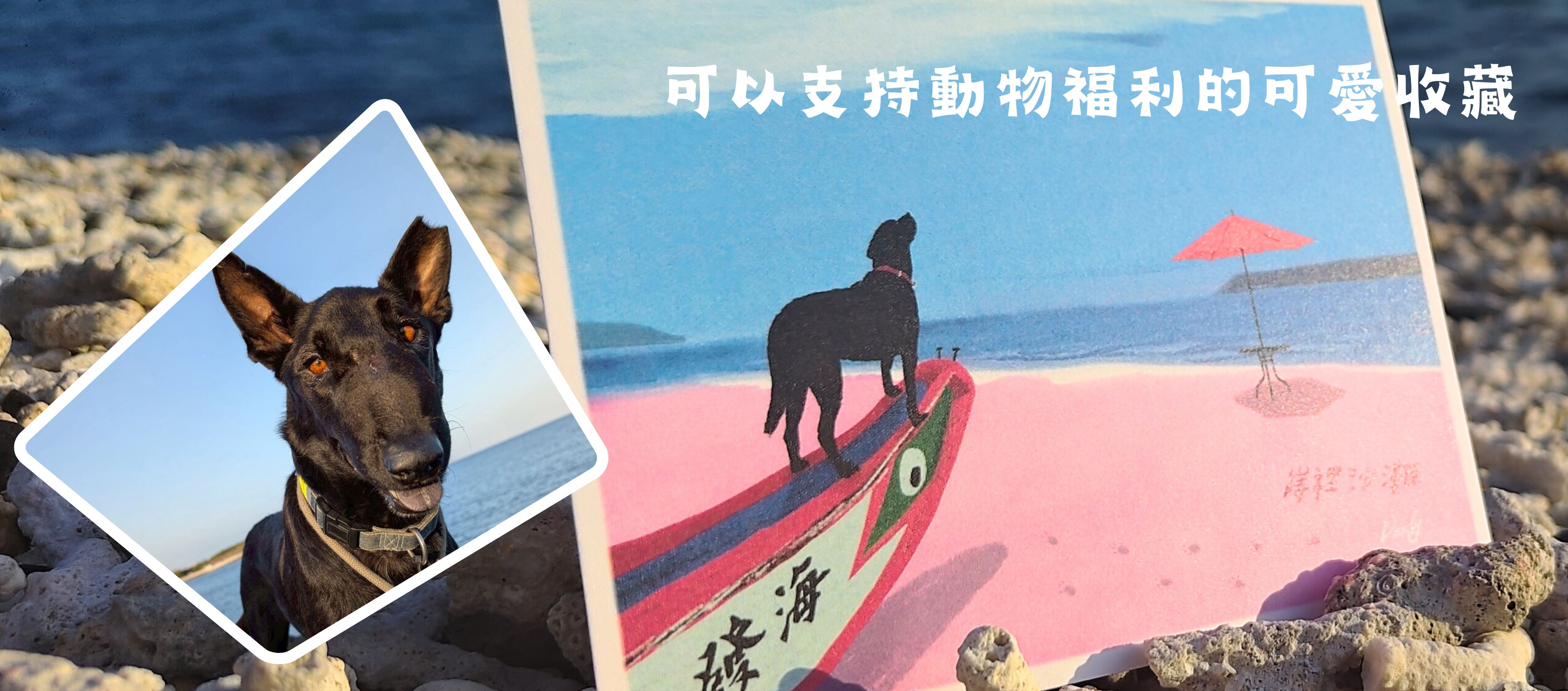 可以支持動物福利的可愛收藏